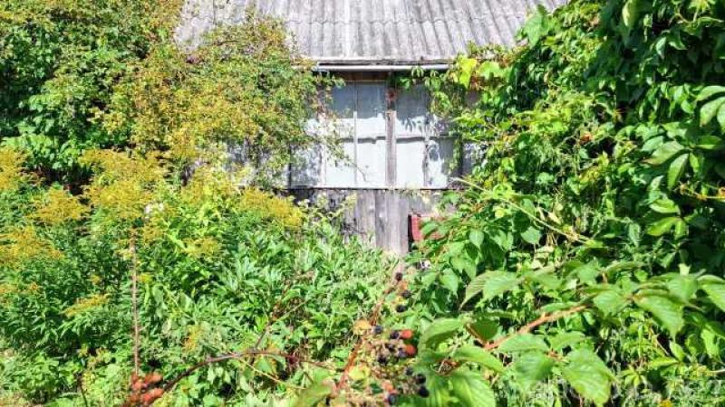 Продам: домик под старым Изборском